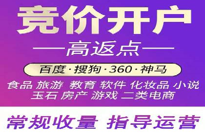 竞价广告投放策略，代运营公司的成功实践