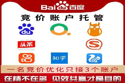 托管SEM竞价案例：揭秘高效推广秘籍